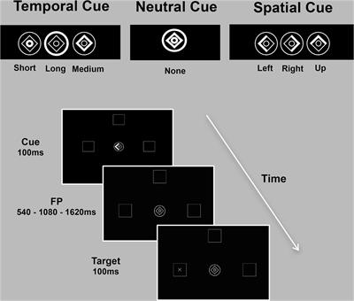 Segregation of Brain Structural Networks Supports Spatio-Temporal Predictive Processing